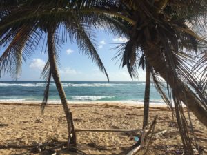 My little town, Treasure Beach, Jamaica, on the south coast, has lovely beaches to wander, explore and simply let your mind rest. 