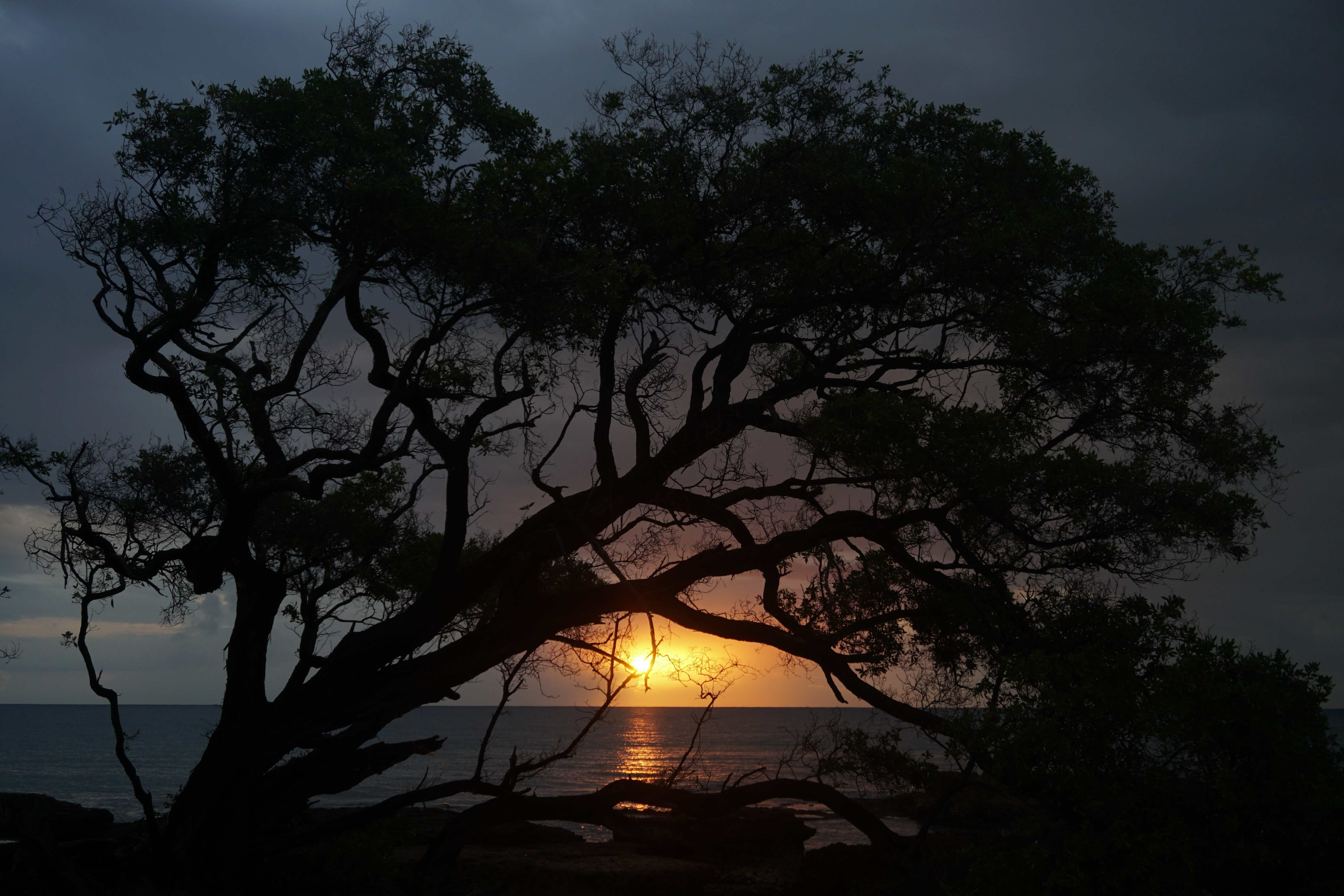 Sunset from Dream Away Beach Villa, Billy's Bay, Jamaica. One of the most beautiful spots I've found to shoot the sunset. 