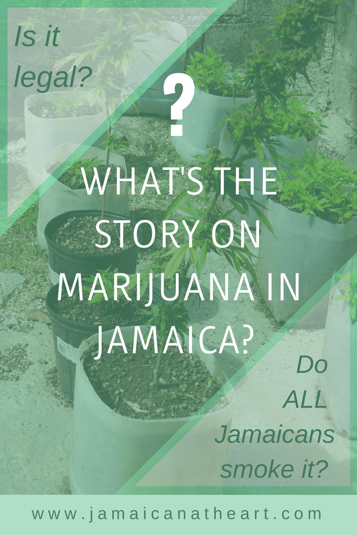 Is marijuana legal in Jamaica? Do all Jamaicans smoke it? Let's talk about it. 