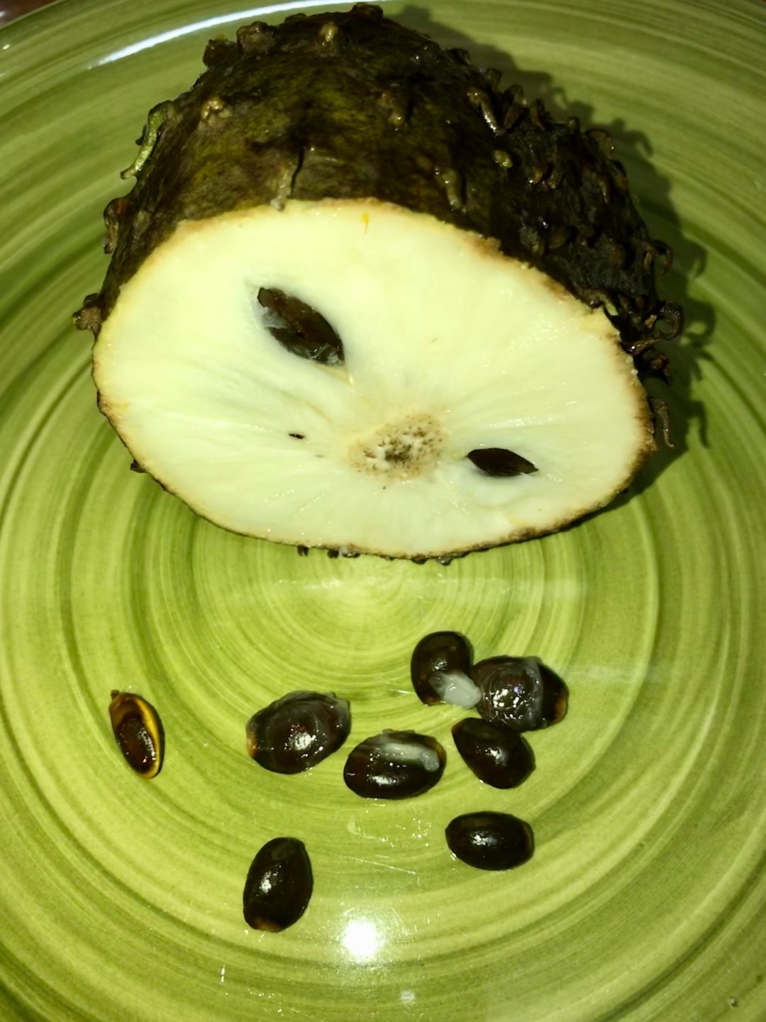 The interior of the soursop is white and juicy.