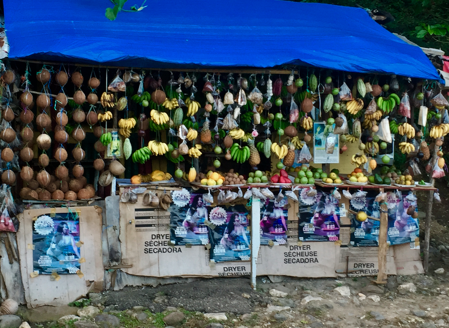 Super fruits of Jamaica. 