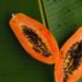 Interior of a ripe papaya with seeds.