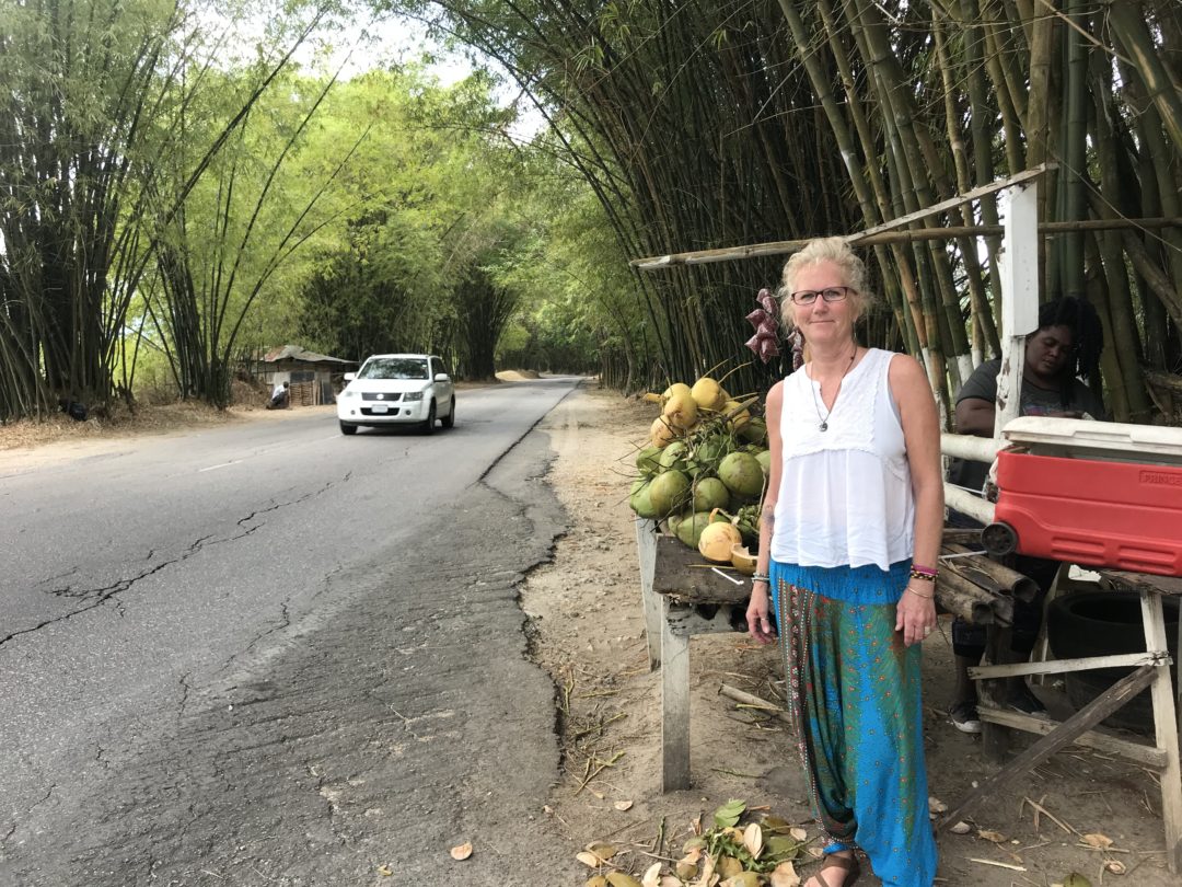 Visiting Holland Bamboo in Jamaica